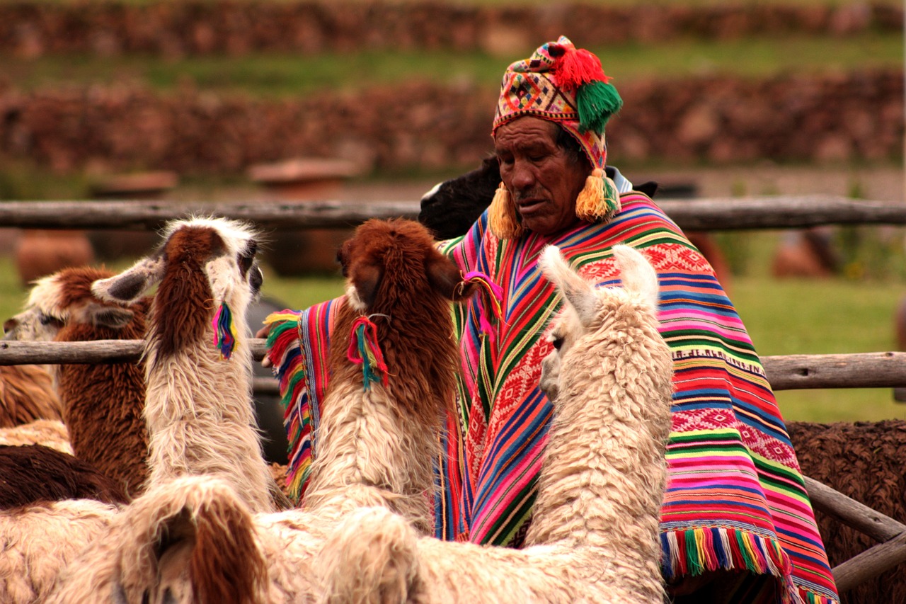 peru, llama, animals-854175.jpg